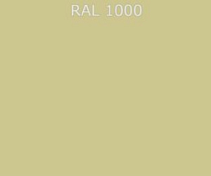 Гладкий лист RAL 1000 0.35