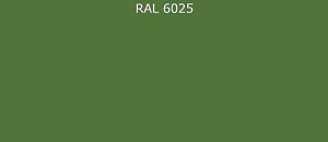 Пурал (полиуретан) лист RAL 6025 0.7