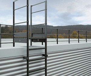 Вертикальная пожарная лестница П1-1 с площадкой 800х800 ROLLED Эконом L=9450мм