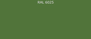 ПВДФ лист RAL 6025 0.35