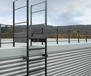 Вертикальная пожарная лестница П1-1 с площадкой 800х1000 ROLLED Эконом L=4200мм ГОСТ Р 53254-2009 