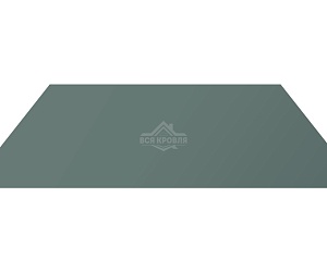Гладкий лист RAL 7005 0.5х1250х2500мм
