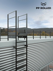 Вертикальная пожарная лестница П1-1 с площадкой 800х800 ROLLED Эконом L=4900мм ГОСТ Р 53254-2009 